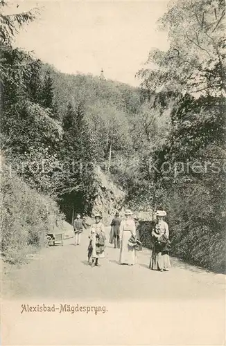 AK / Ansichtskarte Alexisbad_Harz Maegdesprung Alexisbad_Harz