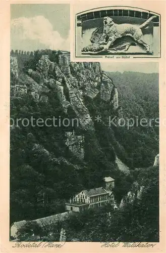 AK / Ansichtskarte Bodetal_Bodethal_Harz Hotel Waldkater Felsen Relief 