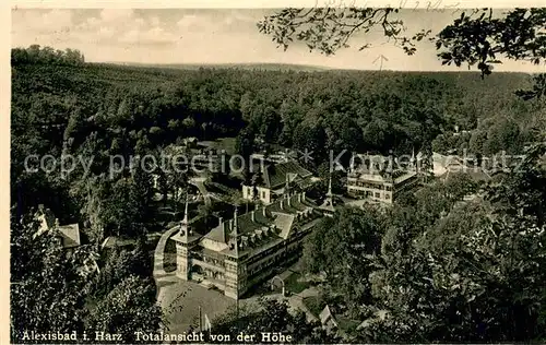 AK / Ansichtskarte Alexisbad_Harz Totalansicht von der Hoehe Alexisbad_Harz