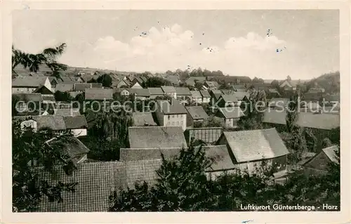 AK / Ansichtskarte Guentersberge Teilansicht Luftkurort Guentersberge