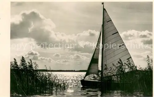 AK / Ansichtskarte Arendsee_Altmark Segelboot im Schilf Arendsee Altmark