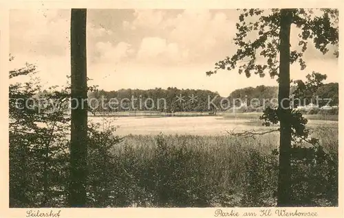AK / Ansichtskarte Seilershof_Gransee Partie am kleinen Wentorosee 