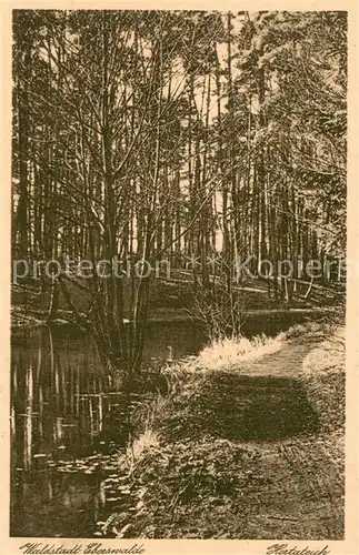 AK / Ansichtskarte Eberswalde Uferweg am Hertateich Eberswalde