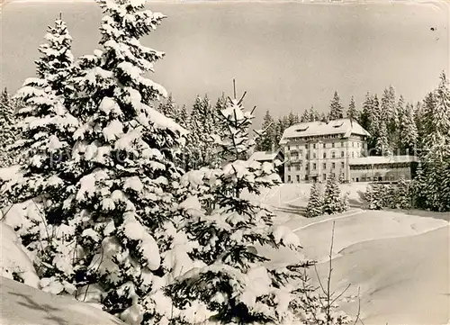 AK / Ansichtskarte Notschrei Waldhotel am Notschrei Notschrei