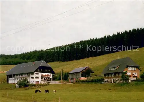 AK / Ansichtskarte Urach_Schwarzwald Matten Hof Urach Schwarzwald