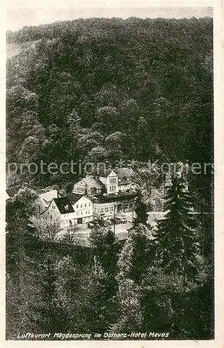 AK / Ansichtskarte Maegdesprung Hotel Meves Maegdesprung