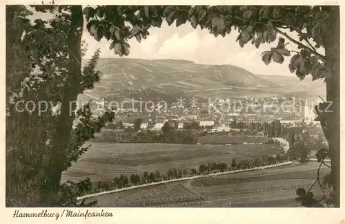 AK / Ansichtskarte Hammelburg Panorama Blick vom Waldrand aus Hammelburg