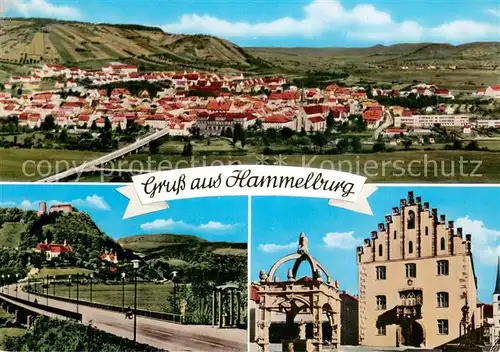 AK / Ansichtskarte Hammelburg Panorama Rathaus Hammelburg