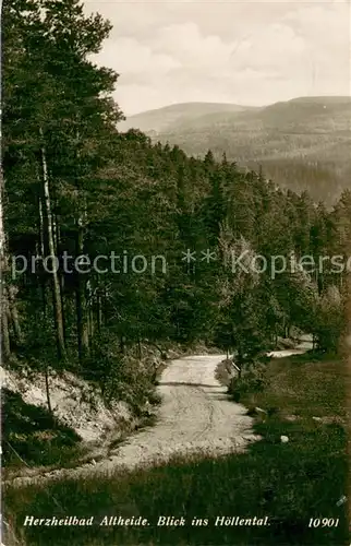AK / Ansichtskarte Altheide_Bad_Schlesien_PL Herzheilbad Blick ins Hoellental 