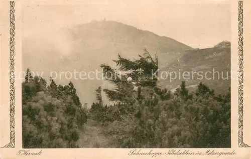 AK / Ansichtskarte Schneekoppe_Snezka Nebelschleier im Melzergrund Schneekoppe Snezka