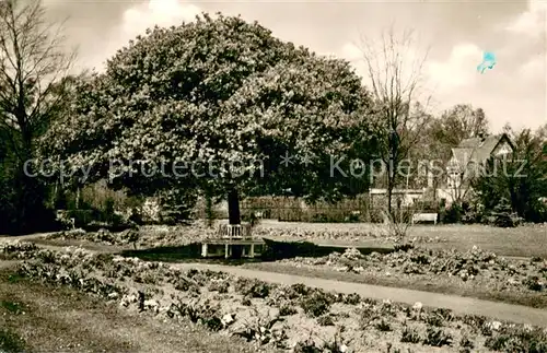 AK / Ansichtskarte Guetersloh Botanischer Garten Guetersloh