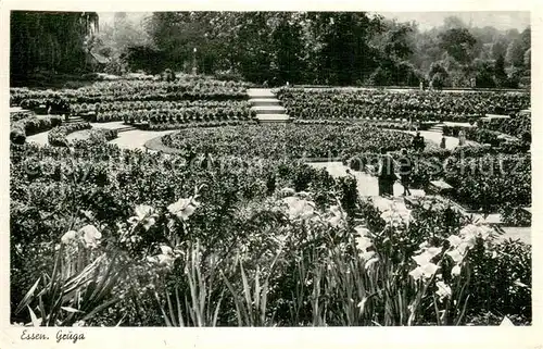 AK / Ansichtskarte Essen__Ruhr Grugapark 