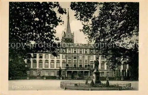 AK / Ansichtskarte Erbach_Odenwald Schloss Denkmal Erbach Odenwald