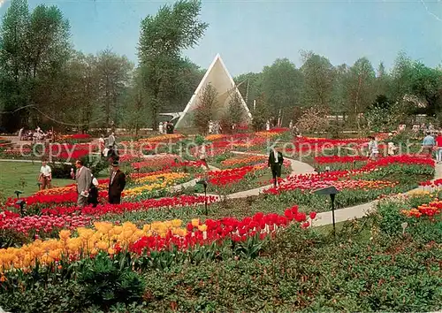 AK / Ansichtskarte Essen__Ruhr BUGA 65 Dahlienarena mit Musikpavillon 