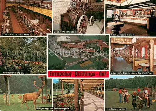 AK / Ansichtskarte Sythen_Haltern Europahof Prickings Hof Tierschau Baeuerliches Museum Verkaufstheken Rhododendronpark Speiseraeume Wildgehege mit Rosenpergola Kinderspielwiese 