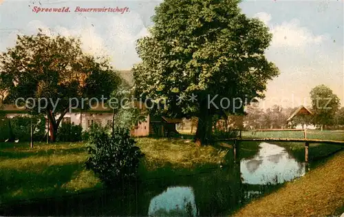 AK / Ansichtskarte Luebbenau_Spreewald Bauernwirtschaft Wasserstrasse Luebbenau Spreewald