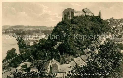 AK / Ansichtskarte Leisnig Schloss Mildenstein Leisnig