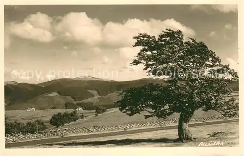 AK / Ansichtskarte Feldberg_1450m_Schwarzwald Feldbergblick 