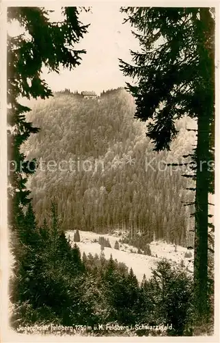 AK / Ansichtskarte Feldberg_1450m_Schwarzwald Jugendheim Feldberg 