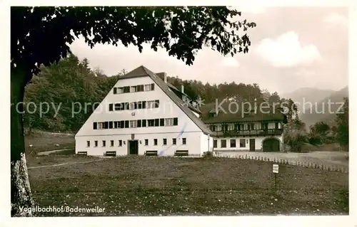 AK / Ansichtskarte Badenweiler Vogelbachhof Badenweiler