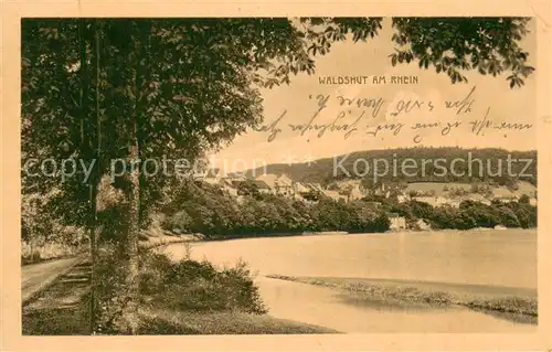 AK / Ansichtskarte Waldshut Tiengen Partie am Hochrhein Waldshut Tiengen