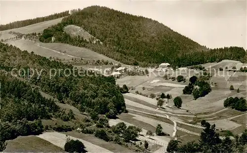 AK / Ansichtskarte Schoenau_Schwarzwald Gasthaus Pension Haldenhof Fliegeraufnahme Schoenau Schwarzwald