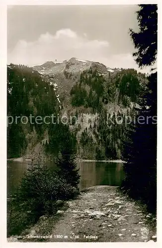 AK / Ansichtskarte Feldberg_1450m_Schwarzwald Feldsee 