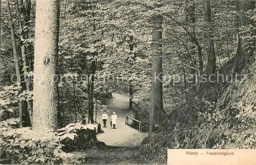 AK / Ansichtskarte Pillnitz_Dresden Friedrichsgrund 