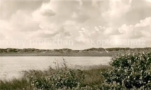 AK / Ansichtskarte Juist_Nordseebad Der Hammersee Juist_Nordseebad