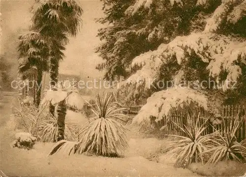 AK / Ansichtskarte Sochi_Sotschi Winter 