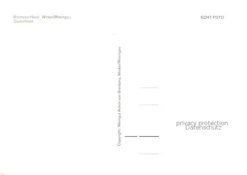 AK / Ansichtskarte Winkel_Oestrich Winkel Brentano Haus Gartenfront Winkel_Oestrich Winkel