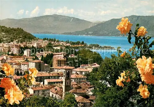 AK / Ansichtskarte Luino_Lago Maggiore_IT Panorama Blick auf den See Rosenbusch 