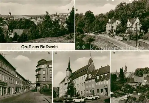 AK / Ansichtskarte Rosswein Blick von der Wunderburg Talbad Dresdner Strasse Markt Rosswein