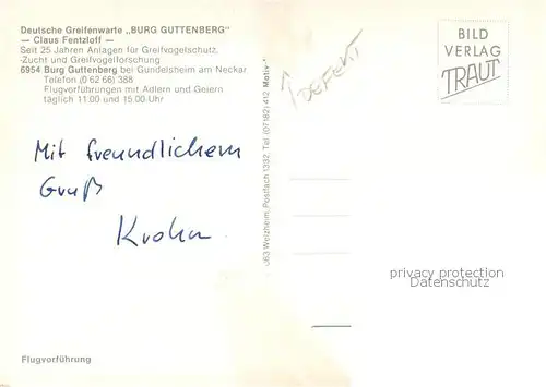 AK / Ansichtskarte Gundelsheim_Neckar Greifenwarte Burg Guttenberg Flugvorfuehrung Gundelsheim Neckar