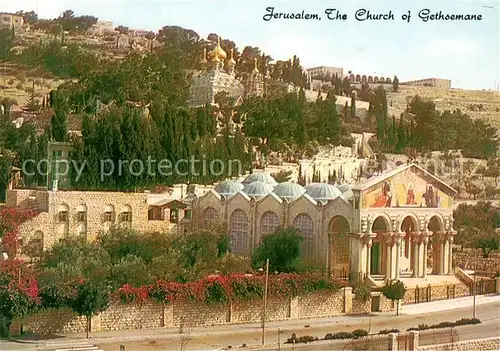 AK / Ansichtskarte Jerusalem_Yerushalayim The Curch of Gethsemane Jerusalem_Yerushalayim