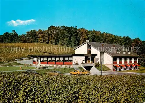 AK / Ansichtskarte Oberrotweil Weinstube Steinbuck mit Gaestehaus Oberrotweil