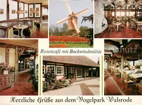 AK / Ansichtskarte Walsrode_Lueneburger_Heide Rosencafe mit Bockwindmuehle Gastraeume  Walsrode_Lueneburger_Heide