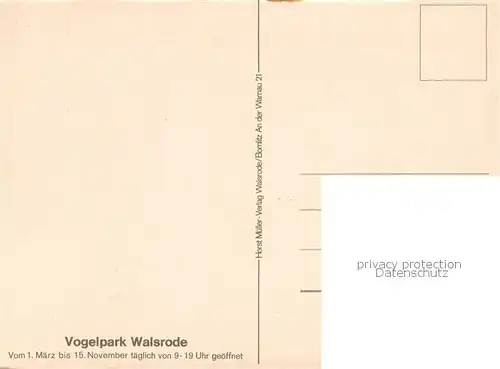 AK / Ansichtskarte Walsrode_Lueneburger_Heide Rosencafe mit Bockwindmuehle Gastraeume  Walsrode_Lueneburger_Heide