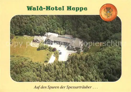 AK / Ansichtskarte Dammbach Wald Hotel Heppe Fliegeraufnahme Dammbach