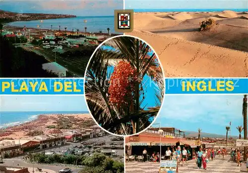 AK / Ansichtskarte Playa_del_Ingles_Gran_Canaria_ES Diversos aspectos 