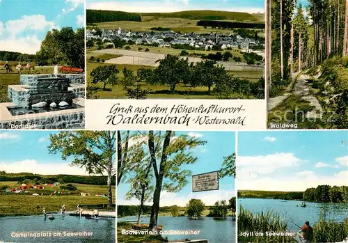 AK / Ansichtskarte Waldernbach Dorfidyll Brunnen Campingplatz am Seeweiher Bootsverleih Panorama Waldweg Waldernbach
