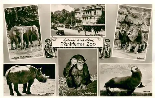 AK / Ansichtskarte Frankfurt_Main Frankfurter Zoo Elefanten Nashorn Affe Loewe Seeloewe Gesellschaftshaus Frankfurt Main