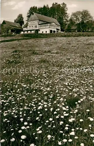 AK / Ansichtskarte Brilon Sunderhof Blumenwiese Brilon