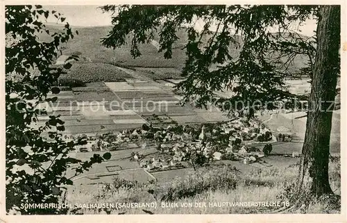 AK / Ansichtskarte Saalhausen_Sauerland Sommerfrische Panorama Blick von der Hauptwanderstrecke 18 Saalhausen_Sauerland