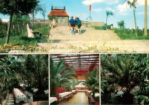 AK / Ansichtskarte Zielona_Gora_Gruenberg Palmiarnia w parku Winnym i wrietra kawiarni Palmiarnia 