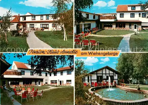 AK / Ansichtskarte Bad_Holzhausen_Luebbecke Pension Haus Annelie Teilansichten Brunnen Bad_Holzhausen_Luebbecke