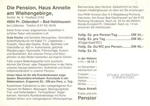 AK / Ansichtskarte Bad_Holzhausen_Luebbecke Pension Haus Annelie Teilansichten Brunnen Bad_Holzhausen_Luebbecke