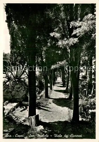 AK / Ansichtskarte Ana_Capri_Anacapri_IT San Michele Viale dei Cipressi 