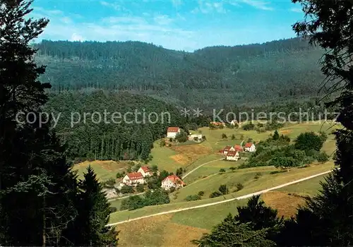 AK / Ansichtskarte Bad_Herrenalb Panorama Bad_Herrenalb