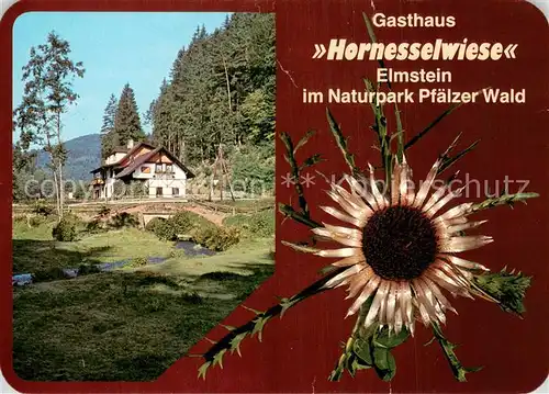 AK / Ansichtskarte Elmstein Gasthaus Hornesselwiese Elmstein